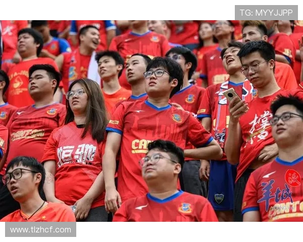 广州排球队逆袭之旅揭秘：从低谷到巅峰的奋斗与坚持